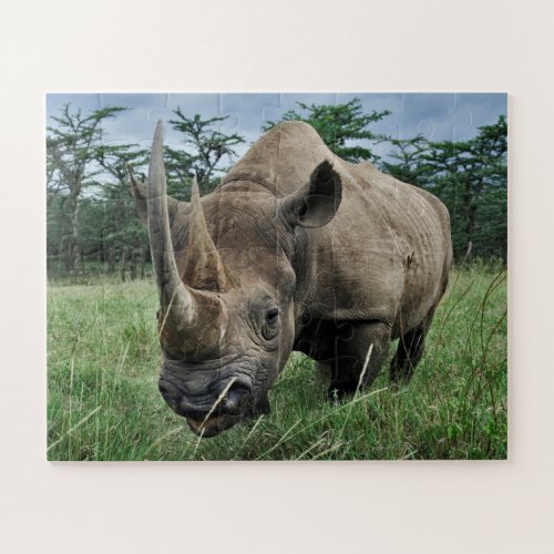 Black Rhinoceros  Kenya Jigsaw Puzzle