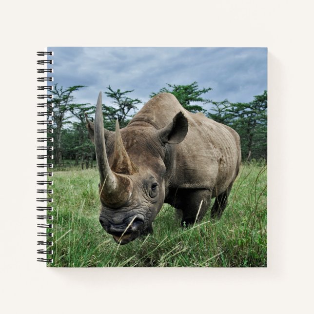 Black Rhinoceros | Kenya Notebook (Front)