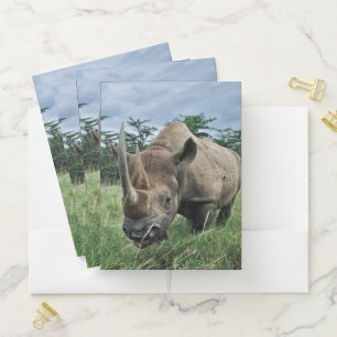 Black Rhinoceros Kenya Pocket Folder