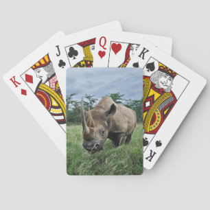 Black Rhinoceros Kenya Poker Cards
