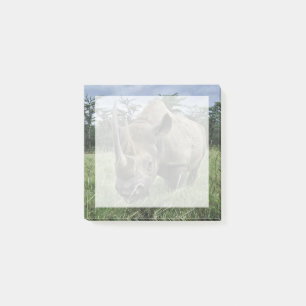 Black Rhinoceros Kenya Post-it Notes