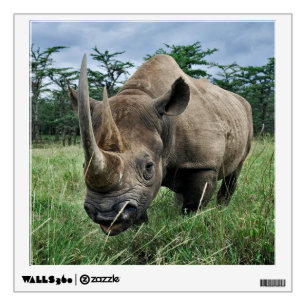 Black Rhinoceros   Kenya Wall Decal