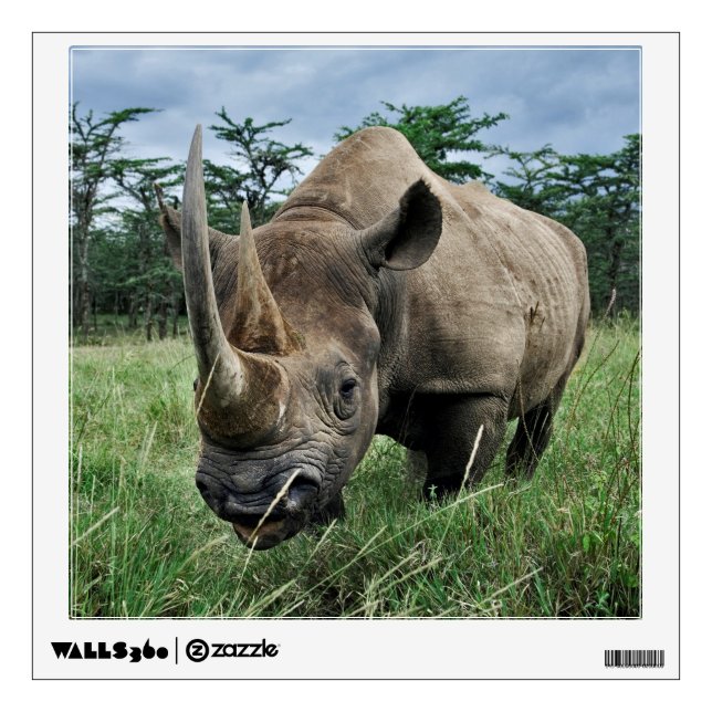 Black Rhinoceros | Kenya Wall Decal (Front)