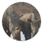 Black Rhinos Sticker