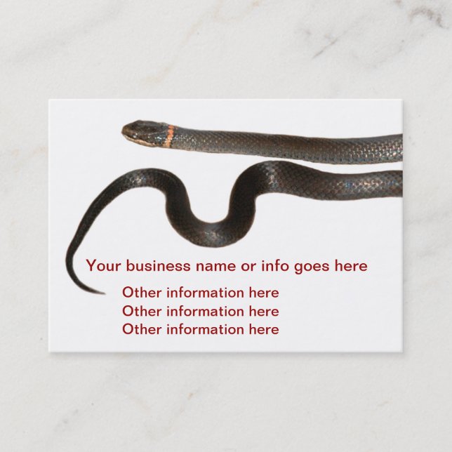Black ring necked snake Business Cards (Front)