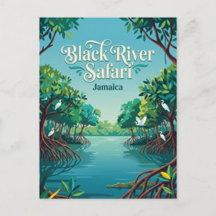 Black River Safari, Jamaica Jamaica Postcard