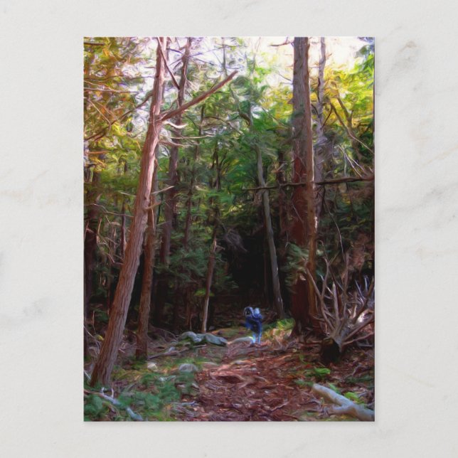 Black Rock Trails, Harriman State Park, New York Postcard (Front)