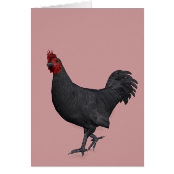 Black Rooster by Emangl3D at Zazzle