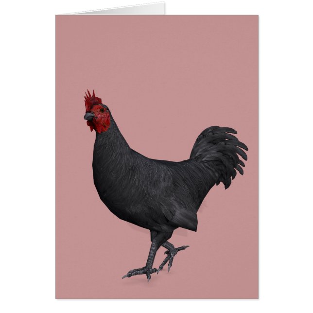 Black Rooster Cards (Front)