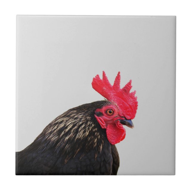 Black Rooster Ceramic Tile (Front)
