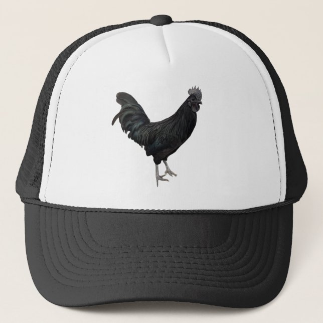 black rooster hat (Front)