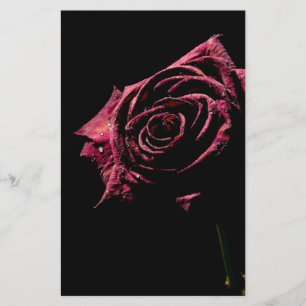 black rose
