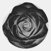 Black Rose 20171027 Classic Round Sticker