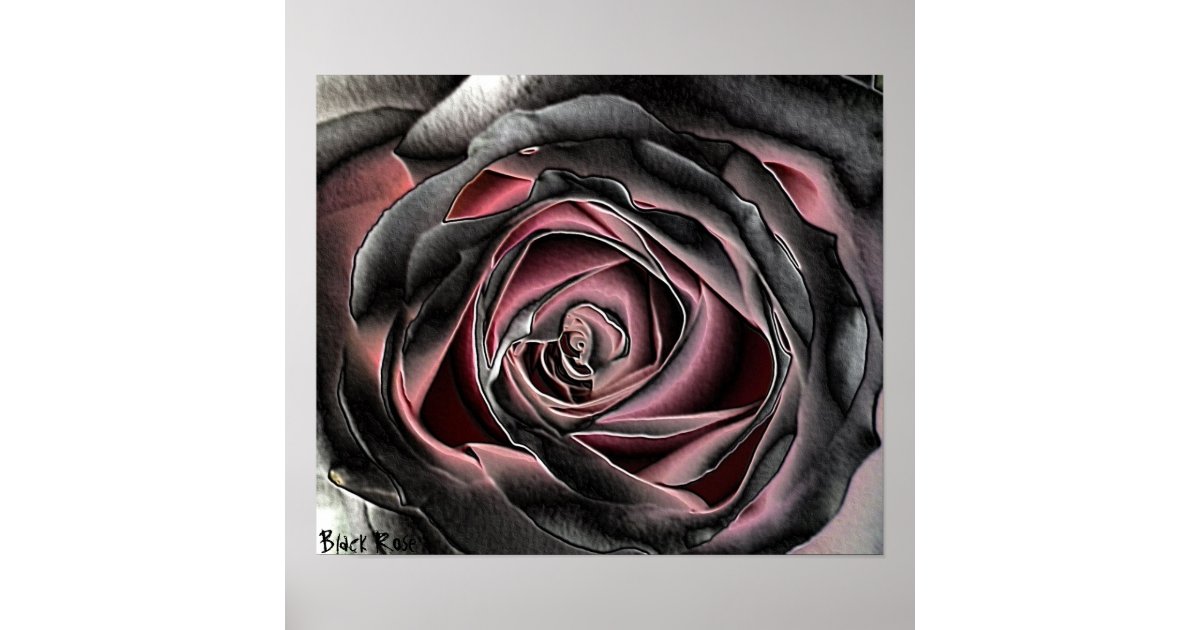 Black Rose Canvas Print Poster Zazzle
