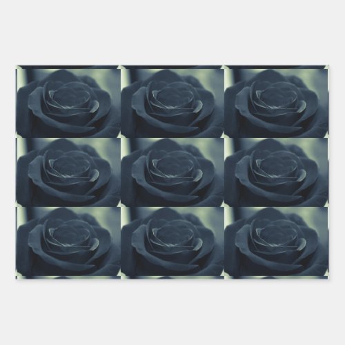 Black Rose Dark Gothic Flower Photo Patterned Wrapping Paper Sheets