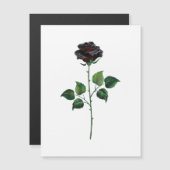 Black rose flower (Front/Back)