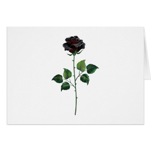 Black rose flower (Front Horizontal)
