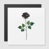 Black rose flower (Front/Back)