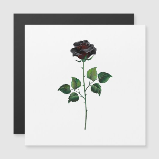 Black rose flower (Front/Back)