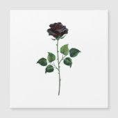 Black rose flower (Front)