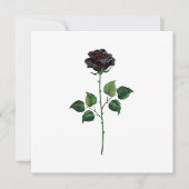 Black rose flower (Front)