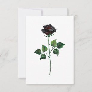 Black rose flower announcement