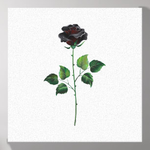 Black rose flower canvas photo tile 