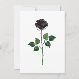 Black rose flower card
