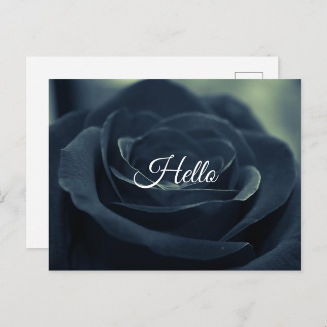 Black Rose Flower Dark Gothic Vibe Hello Postcard (Front/Back)