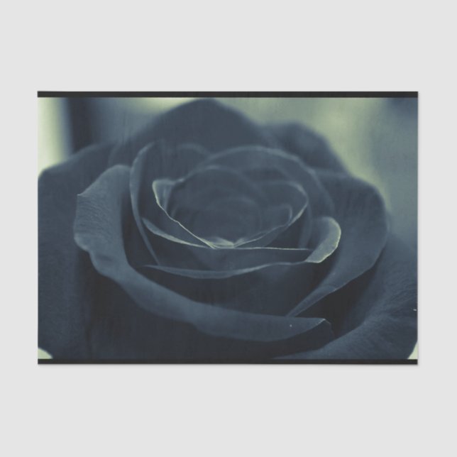 Black Rose Flower Dark Gothic Vibe Tissue Paper (Front)
