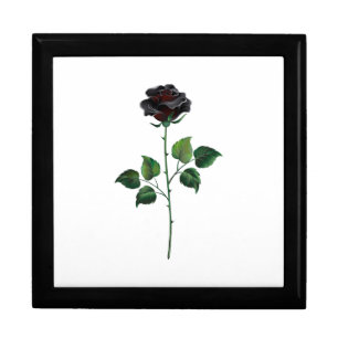 Black rose flower gift box