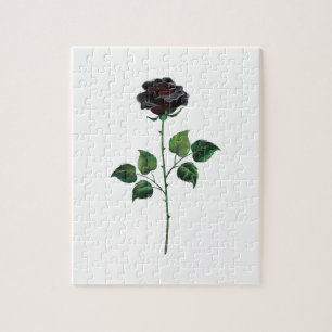 Black rose flower jigsaw puzzle
