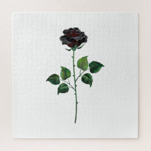 Black rose flower jigsaw puzzle