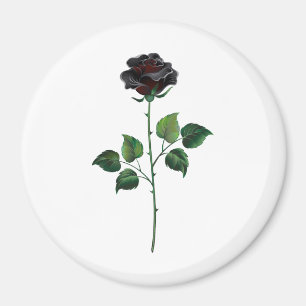 Black rose flower magnet