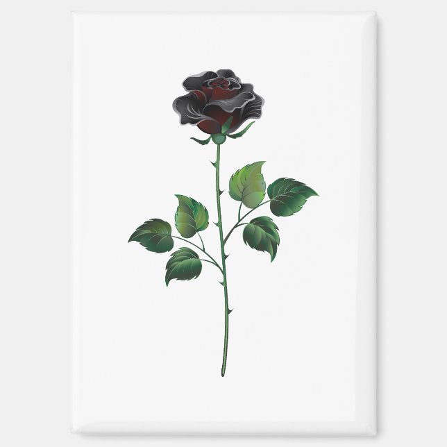 Black rose flower magnet (Front)