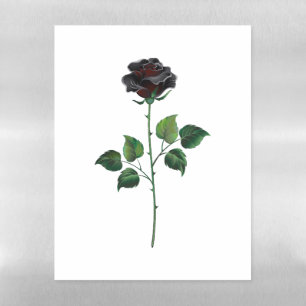Black rose flower magnetic dry erase sheet