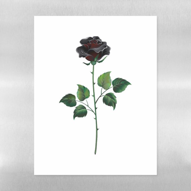 Black rose flower magnetic dry erase sheet (Vertical)