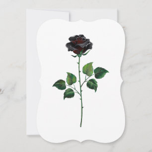 Black rose flower note card