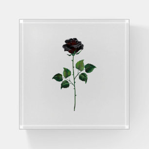 Black rose flower paperweight