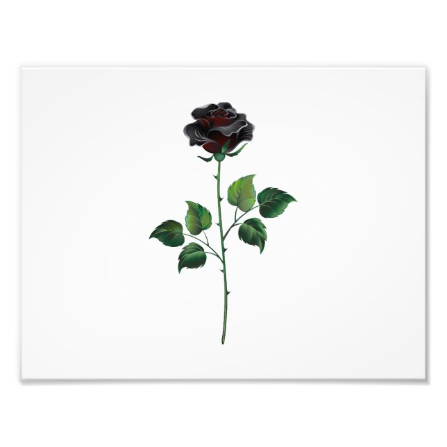 Black rose flower photo print (Front)