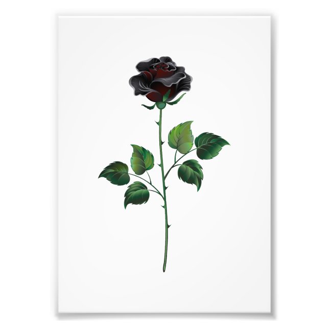 Black rose flower photo print (Front)