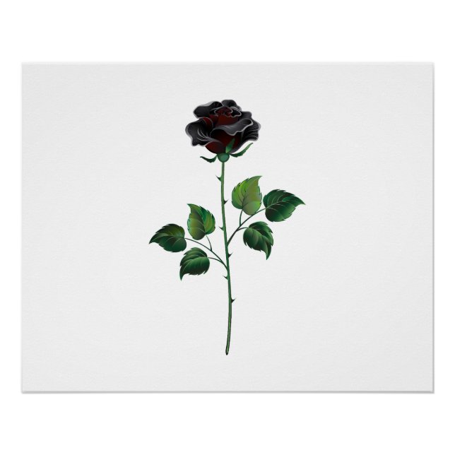 Black rose flower poster (Front)