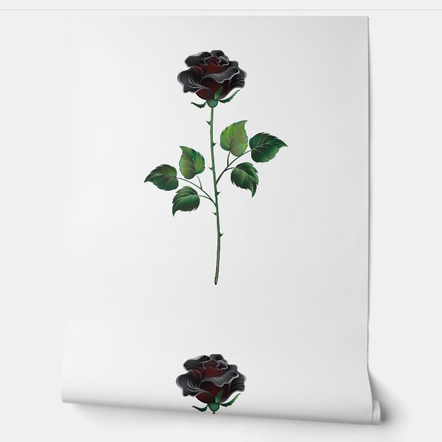 Black rose flower wallpaper  (Unrolling)