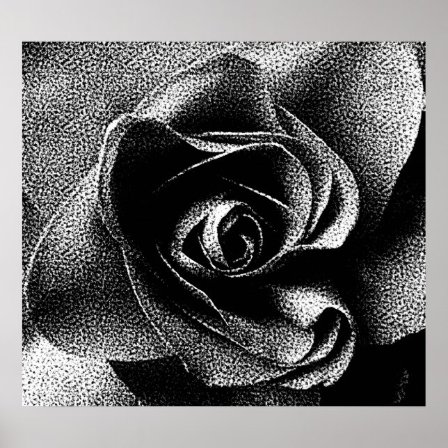 BLACK ROSE POSTER (Front)
