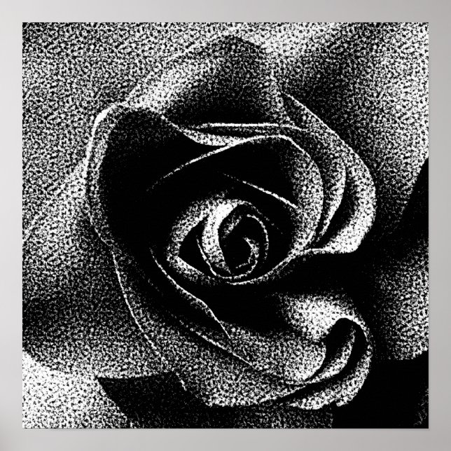BLACK ROSE POSTER (Front)