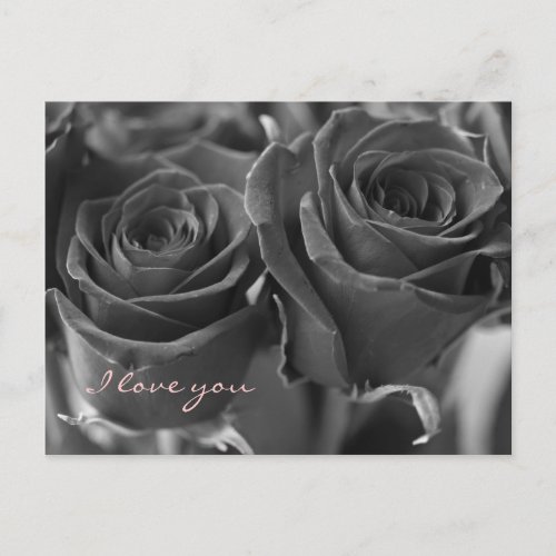 Black Roses And Pink I Love You Postcard