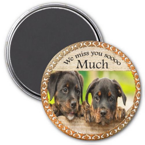 Black Rottweiler cute puppy dogs with sad faces Magnet