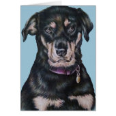 Black Rottweiler Dog Drawing Portrait (Front)