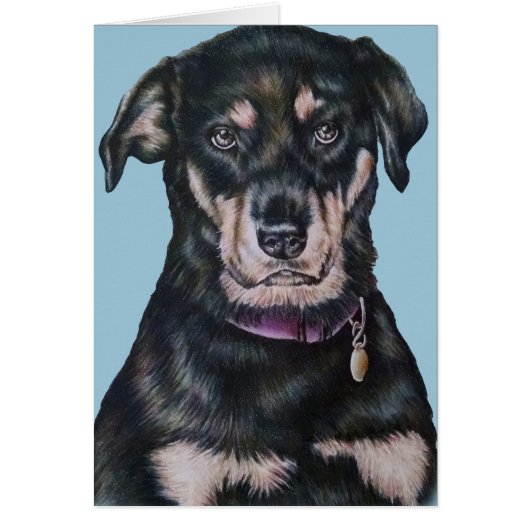 Black Rottweiler Dog Drawing Portrait Cards (Front)