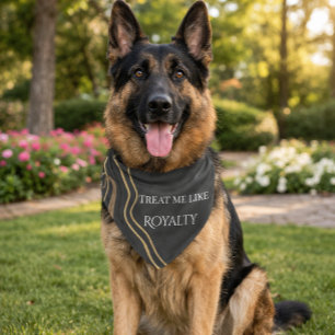 Black Royal Dog Gift for Dog Mom Luxury Style Pet Bandana Collar